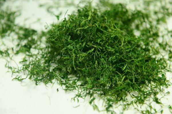 中藥絞股藍,常用於慢性胃炎、萎縮性胃炎,緩解癌症放化療副作用 中藥絞股藍,常用於慢性胃炎、萎縮性胃炎,緩解癌症放化療副作用