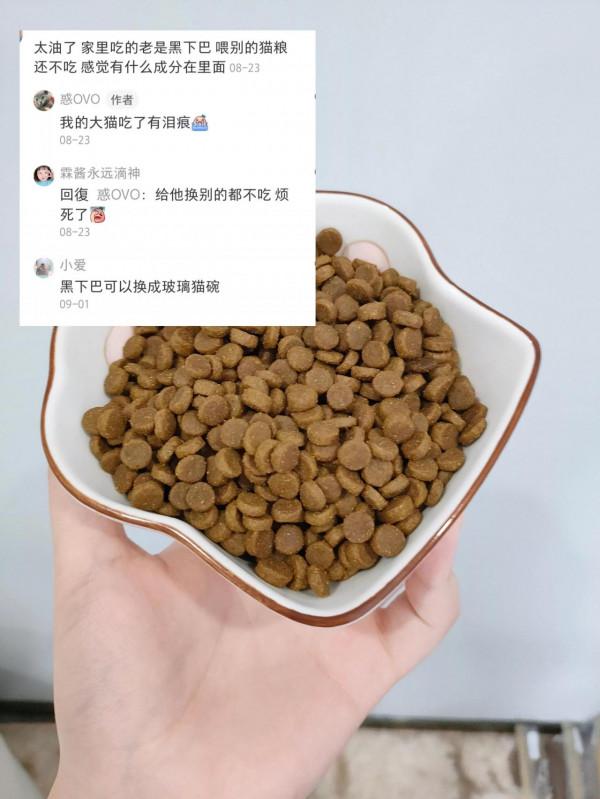 球球了，毒貓糧別再給主子選了