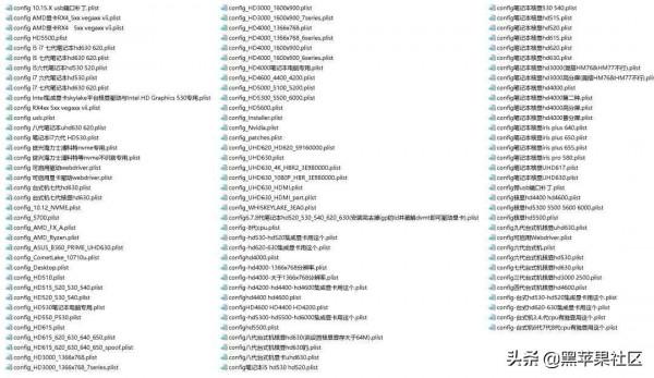 macOS Monterey 12.1Beta4OC 0.7.5 / Cl 5142 / PE 三分割槽原版黑蘋果映象
