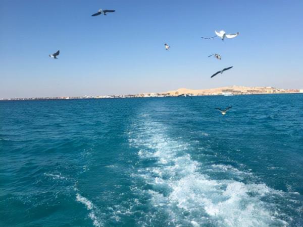 魂牽夢縈，他鄉或許有你的前世