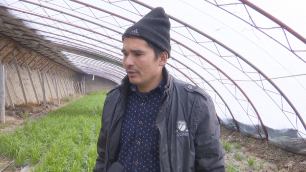 大棚種植，把美好願景“種”出來～