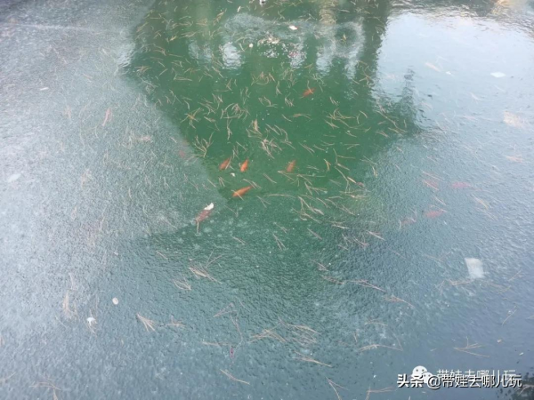 打卡北京最魔幻的寺廟，藏在門頭溝深山裡，看完極為震撼