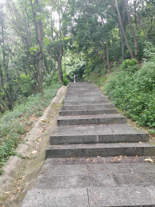 公元某年某月某日某山半日遊