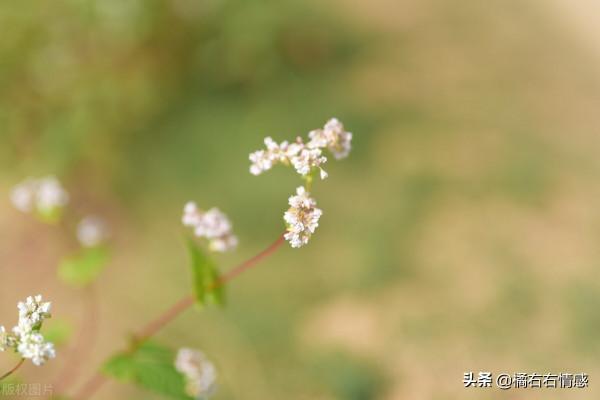 看清一個人,這12點就夠了 看清一個人,這12點就夠了