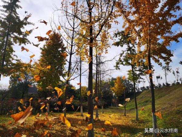 在“涇渭分明”處，有人說他釣過四五十斤的大魚