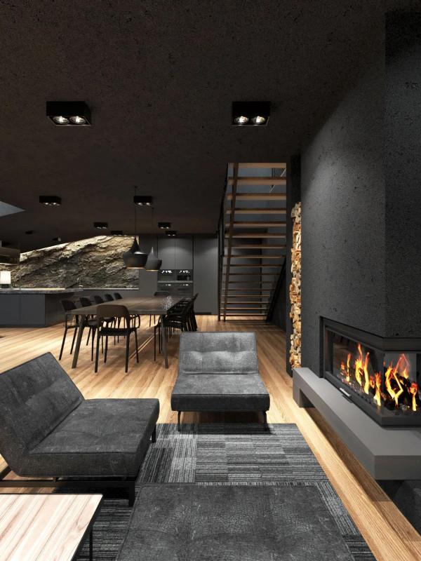 紐約哈里曼州立公園的黑色別墅