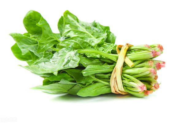 春天到了，記得常吃這些應季蔬菜，富含維生素A，順應時節而食