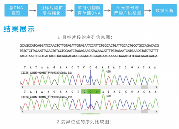 韋翰斯生物分子生物學一站式科研服務，助你科研無憂