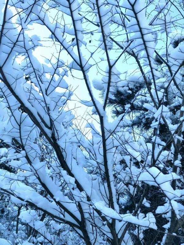 佛教聖地_雲巖聖境