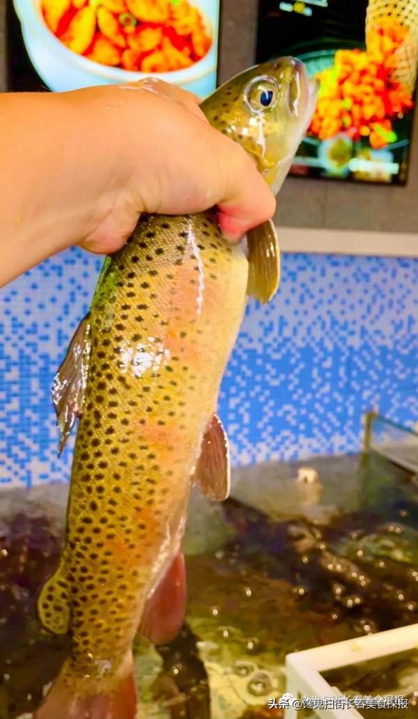 來自汪清百草溝。花泥鰍、川丁子,長白山小魚湯,已16年 來自汪清百草溝。花泥鰍、川丁子,長白山小魚湯,已16年