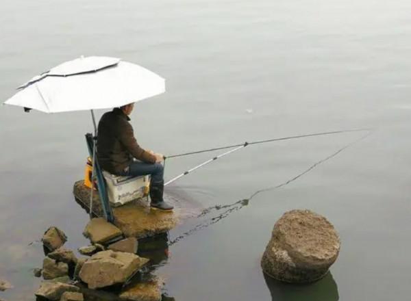 鯽魚為何起浮離底，這些因素不能小覷