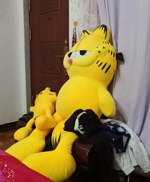 水瓶座2月份的大驚喜