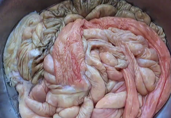 冬天乾冷，來盤秘製硬菜滷肥腸，方法比例大公開，爽滑可口無腥味