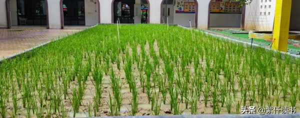 成語“爭先恐後”，背後的故事，給人的啟發更深刻