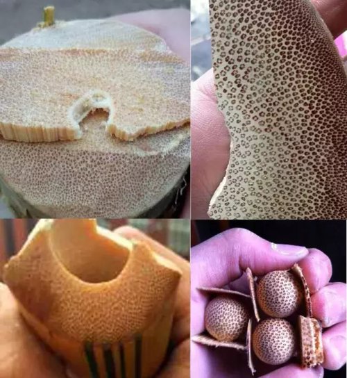 這些文玩您能認幾個