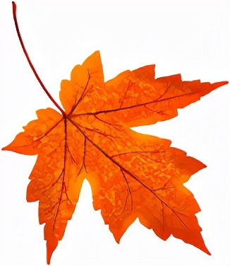 芯毓兒保育|瘋狂動物運動會?盡情釋放你的活力 芯毓兒保育|瘋狂動物運動會?盡情釋放你的活力