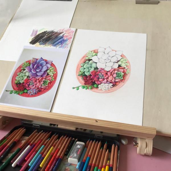 多肉植物彩鉛畫全過程(1-1) 多肉植物彩鉛畫全過程(1-1)