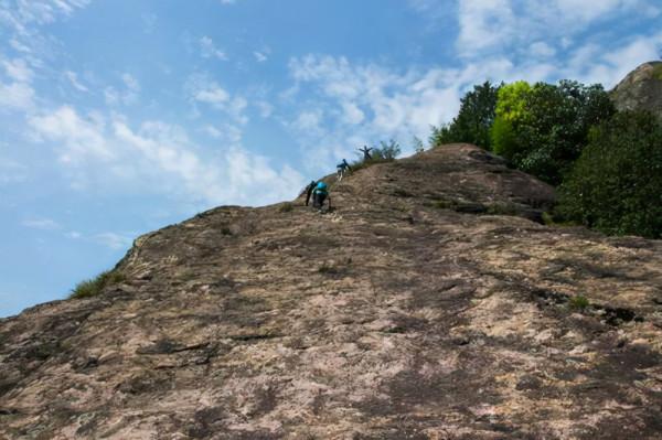 浙江又一景區走紅,幾百年的母子樟樹,距衢州市只有30公里 浙江又一景區走紅,幾百年的母子樟樹,距衢州市只有30公里