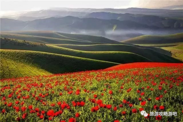 國內這9個值得一去的地方，有你要的詩和遠方，出發吧？