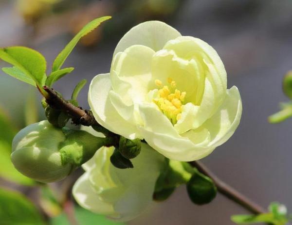 人的高階清醒：把不尊重自己的人，請出生命