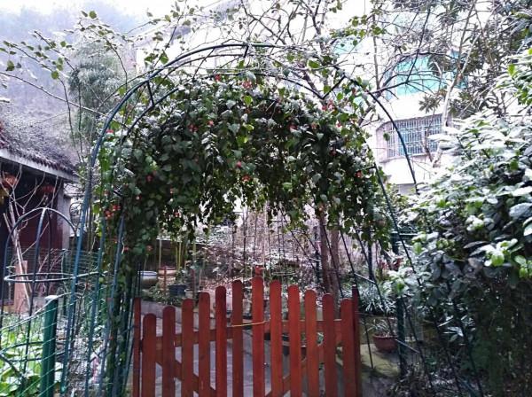 小花園裡秋花正旺，手調曝光補償，拍攝花瓣細節