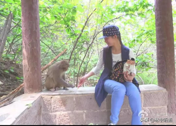 大峽谷，黑龍潭，那漫山遍野的紅，還有那“猴大王”的“打劫”