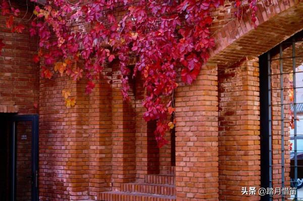 如果沒有疫情，此刻我勸你一定要去一趟北京...