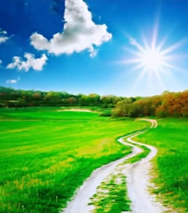 七律· 壟 上 行