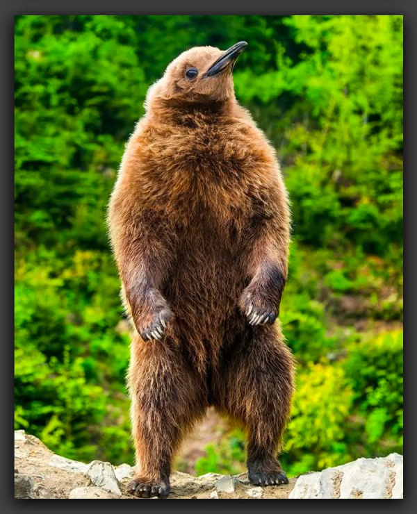 創意｜神奇動物在哪裡？這組作品激發你的想象力