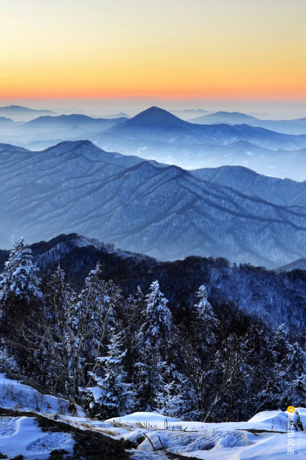 &quot&semi;meng&quot&semi;虎出山，虎年新春帶你看老虎的前世今生