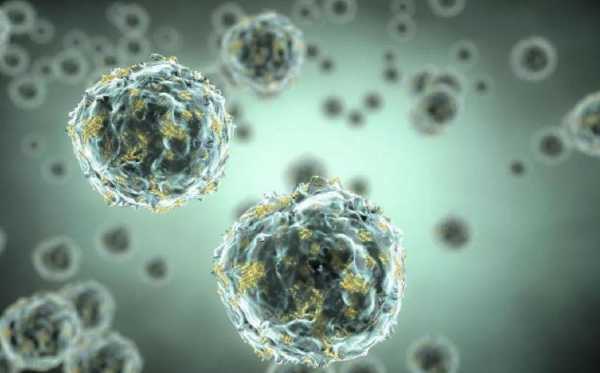 人去世後,身體48小時內會有哪些變化?為什麼比豬肉發臭得更快? 人去世後,身體48小時內會有哪些變化?為什麼比豬肉發臭得更快?