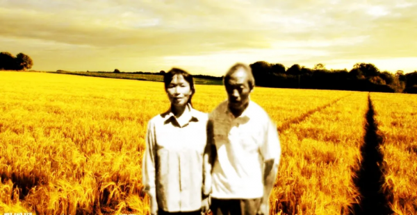 留在北大荒的上海女知青