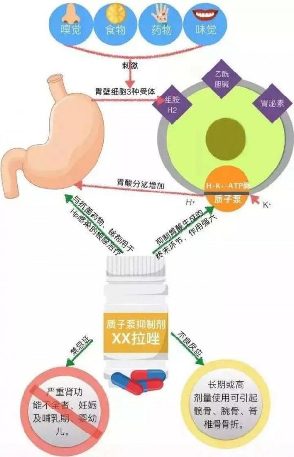 治療胃食管反流除了抑酸劑還有別的藥物嗎?其治療的四大藥物 治療胃食管反流除了抑酸劑還有別的藥物嗎?其治療的四大藥物