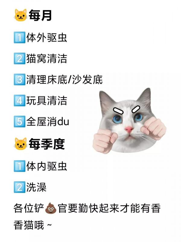 冬天怎麼給貓咪清潔才正確？