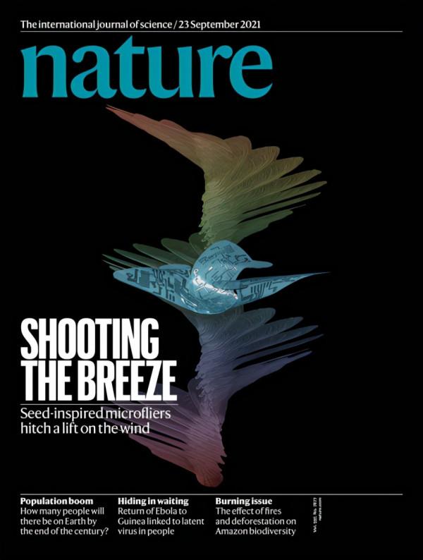 今日Nature封面:屈曲力學組裝的仿風傳種子三維微電子飛行器 今日Nature封面:屈曲力學組裝的仿風傳種子三維微電子飛行器