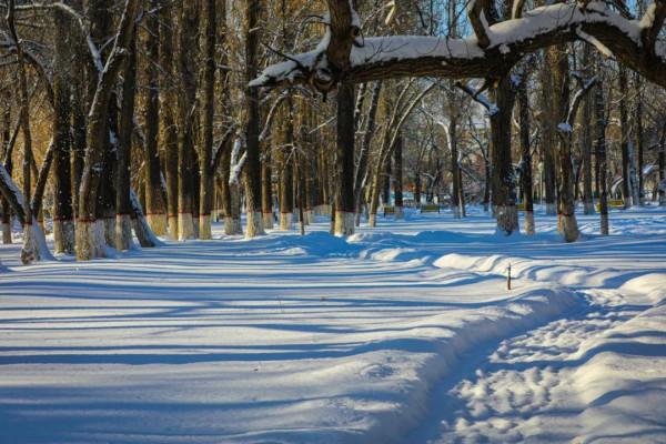 一起走進塔城文化廣場