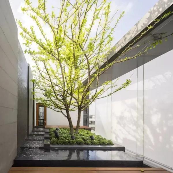 現代庭院，一抹留白、一堵牆，簡單中的美好