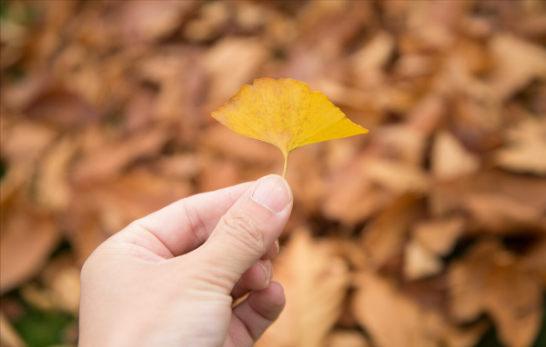 秋深夢斷魂縈繞，雪滿寒冬路漫長。立冬漫吟