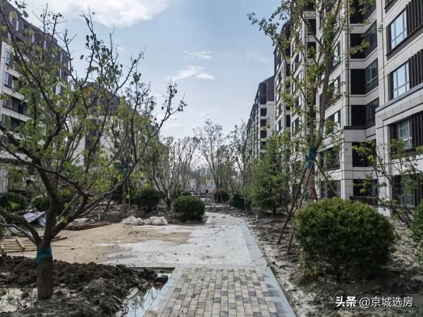 海淀新盤、紫郡蘭園、均價5.3萬、89平米、現房、剩53套房源