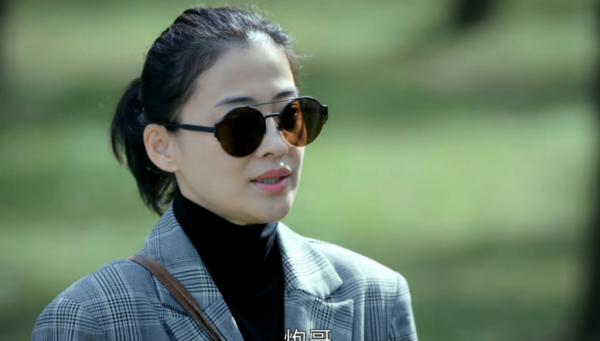 梅婷、林永健新劇網播太可惜，適合全家一起觀看的硬核好劇