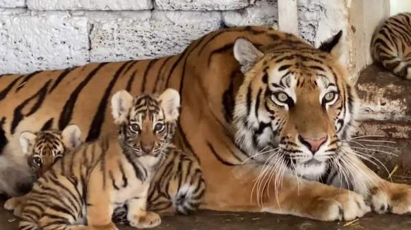 把對方誇成花，你就會獲得對方的好感，這是溝通得以順暢的第一步