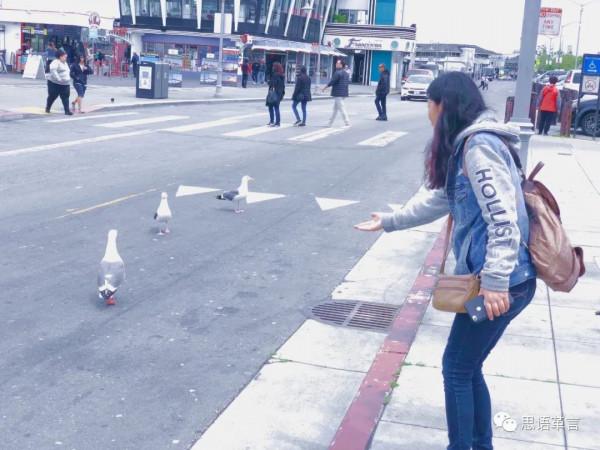 美國行之二：舊金山篇