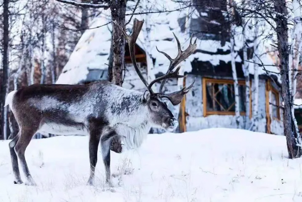 春節想要感受濃濃的年味 2022年春節小眾目的地