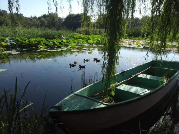 漫談圓明 | 隨書本走進歷史，讓歷史照進現實 ——圓明園遊記