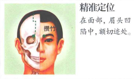 緩解眼疲勞之&OpenCurlyDoubleQuote;攢竹穴&rdquo;