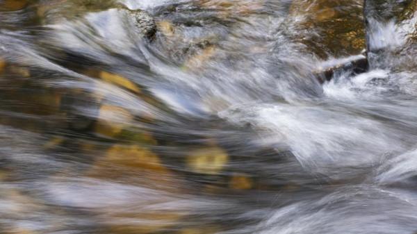 陰天過路石門森林公園