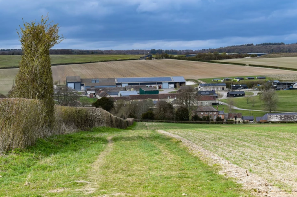 英國的末代男爵,莊園面積36平方公里,和于謙一樣愛養馬 英國的末代男爵,莊園面積36平方公里,和于謙一樣愛養馬