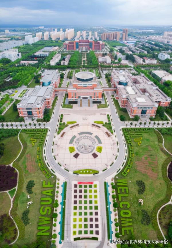 央視“點名”關注!陝西這所高校的全魚宴、巧克力饅頭饞哭網友 央視“點名”關注!陝西這所高校的全魚宴、巧克力饅頭饞哭網友