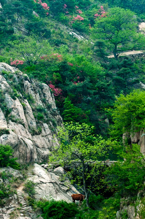 1934年山西老農救下3000紅軍,建國後程子華三令五申:一定要找到他