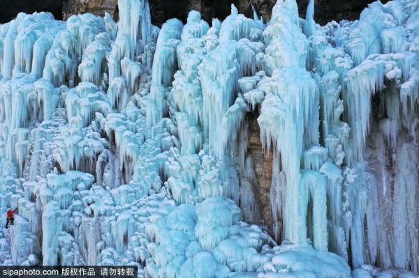 虎年說虎！發現北京最“虎”的地方，年味兒非常濃～